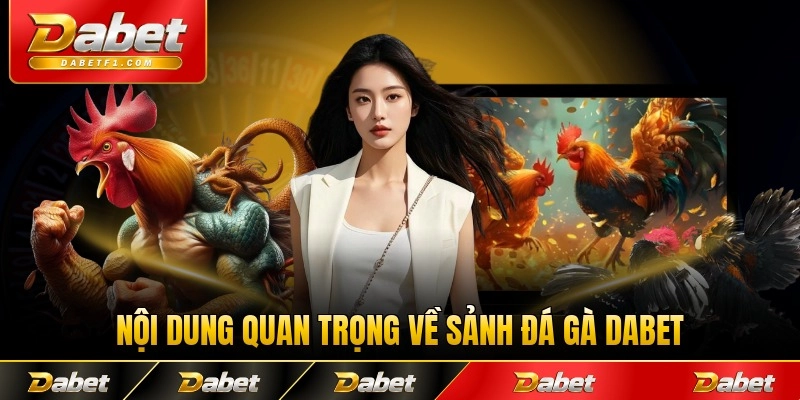 Nội dung quan trọng về sảnh đá gà Dabet năm 2026